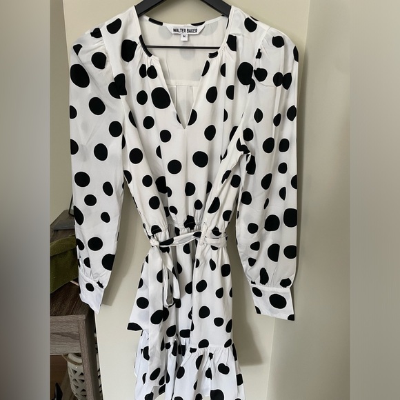 Walter Brown Polka Dot Mini Crepe Dress - Picture 4 of 4